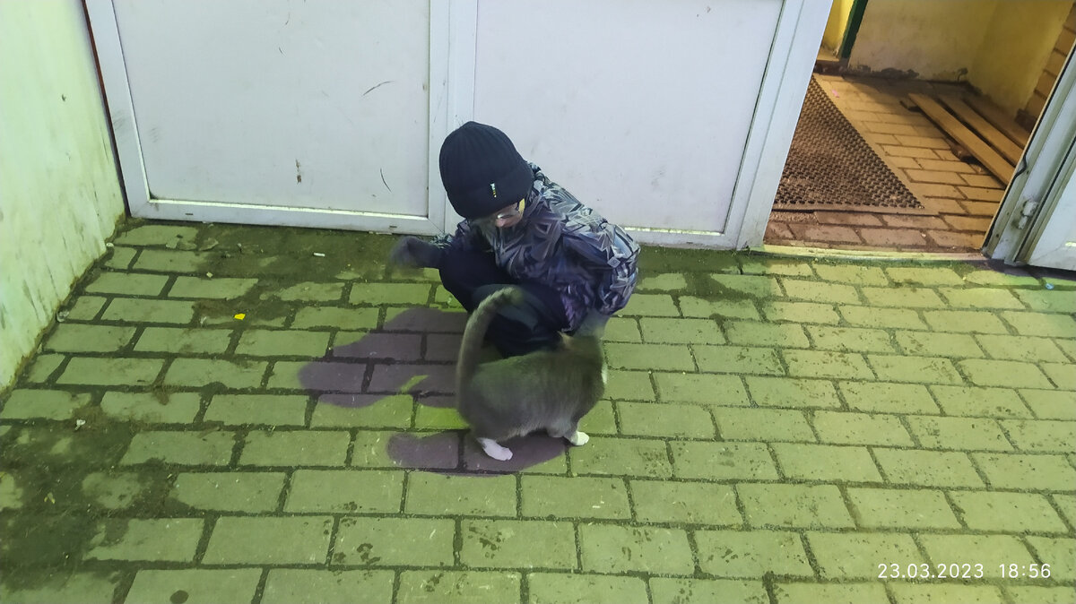 Фотография автора. 