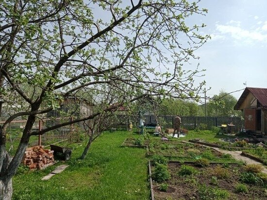     Фото Алены Федоровой