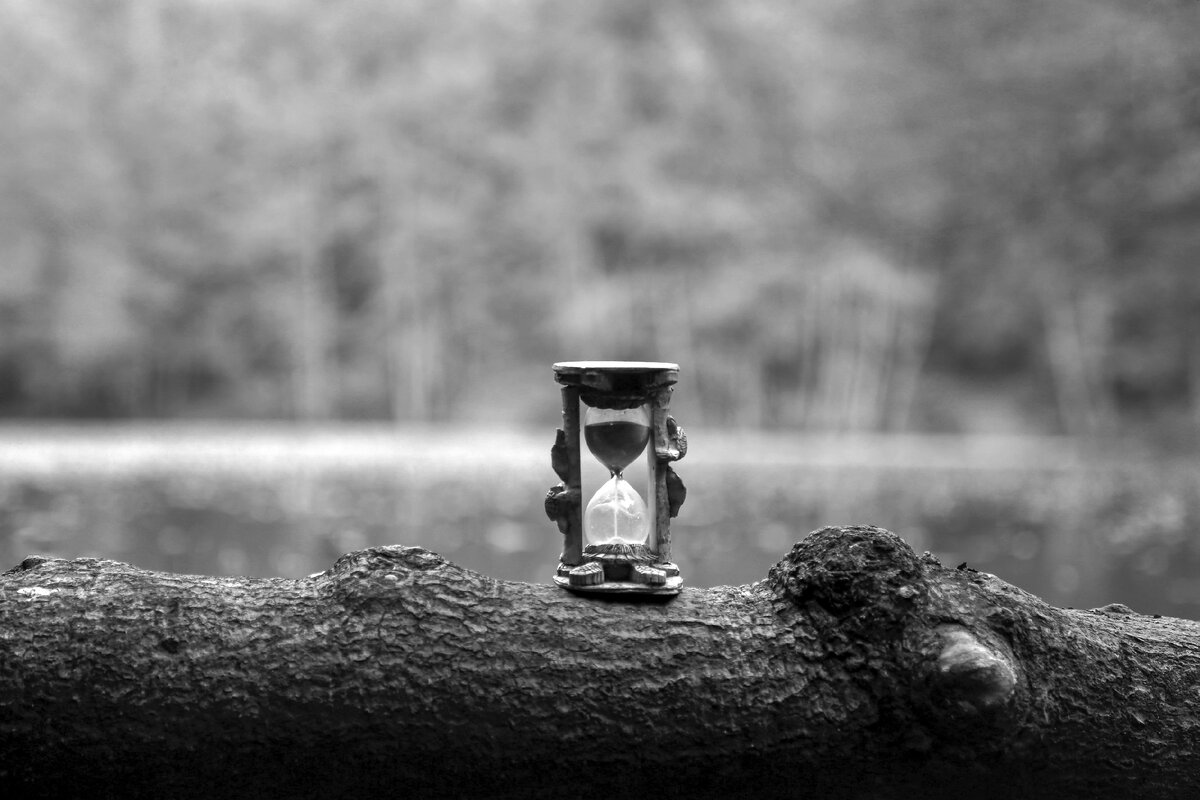 Photo by Şahin Sezer Dinçer on Unsplash