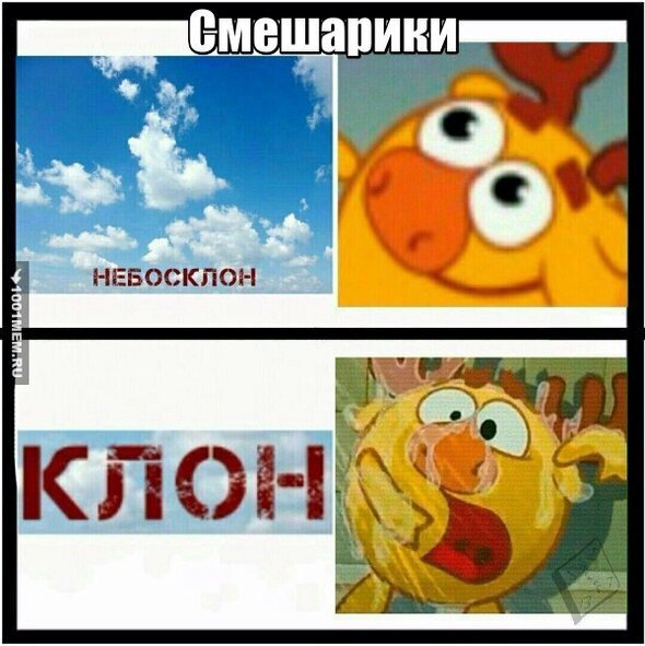 Смешарики мемы смешные с надписями до слез
