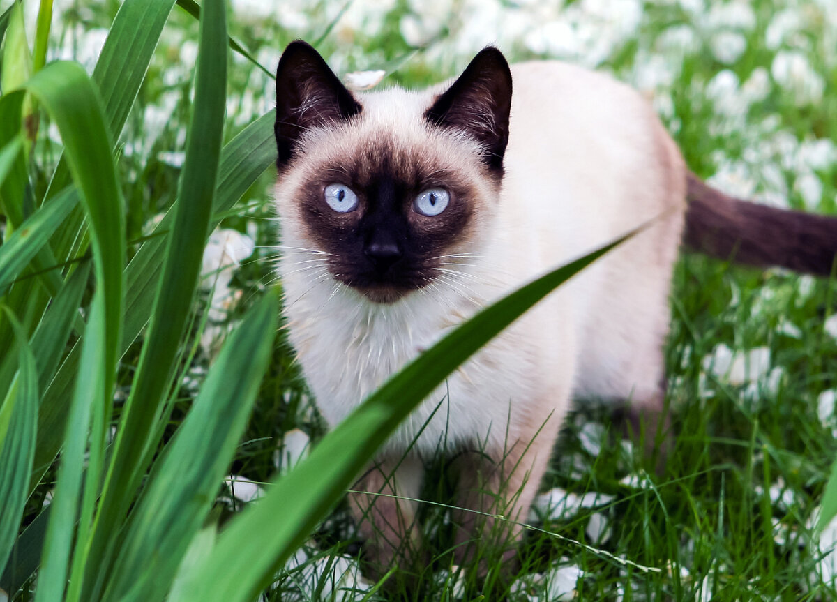   istockphoto/Vital Hil