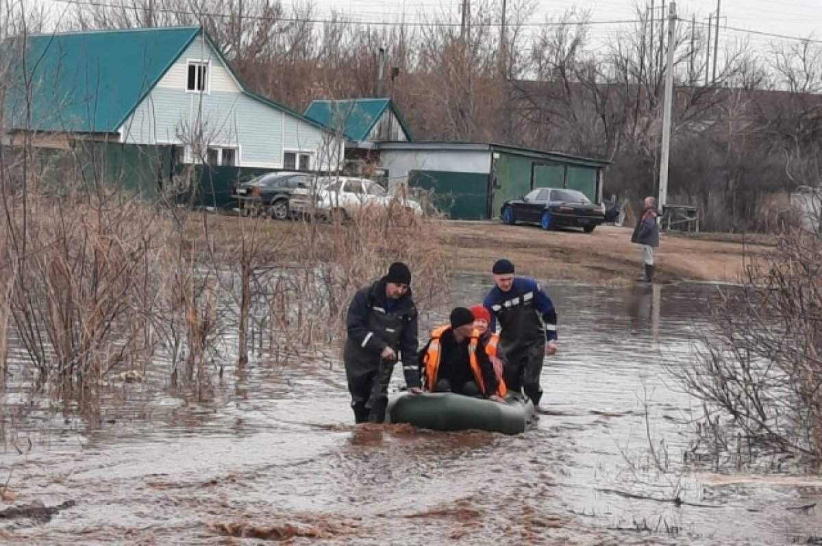 В поселок Каргала пришла большая вода | АиФ–Оренбург | Дзен