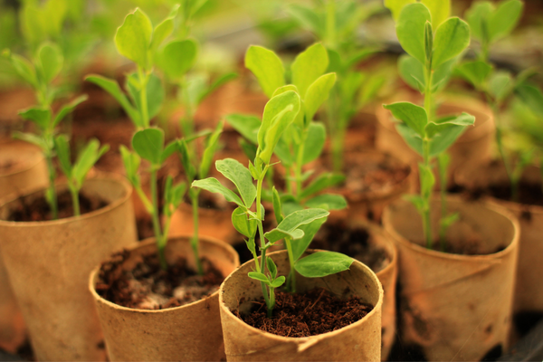 Фото с лицензией ССО