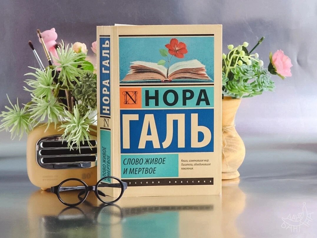 Фотография с просторов Интернета