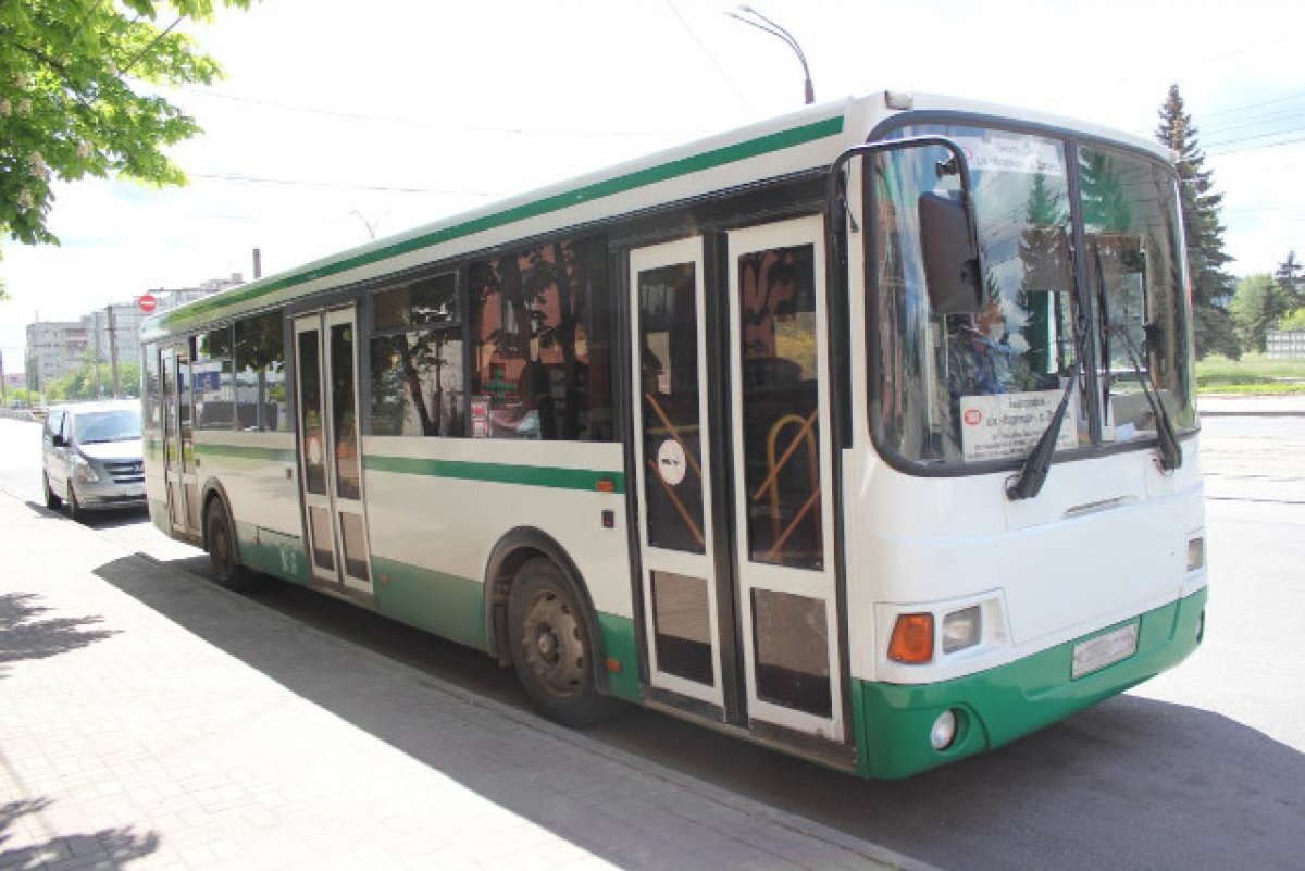 Автобус на дачу. Новые автобусы в магнитогорске. Движение садовых автобусов. Дачный автобус. График автобусов пенза кондоль.