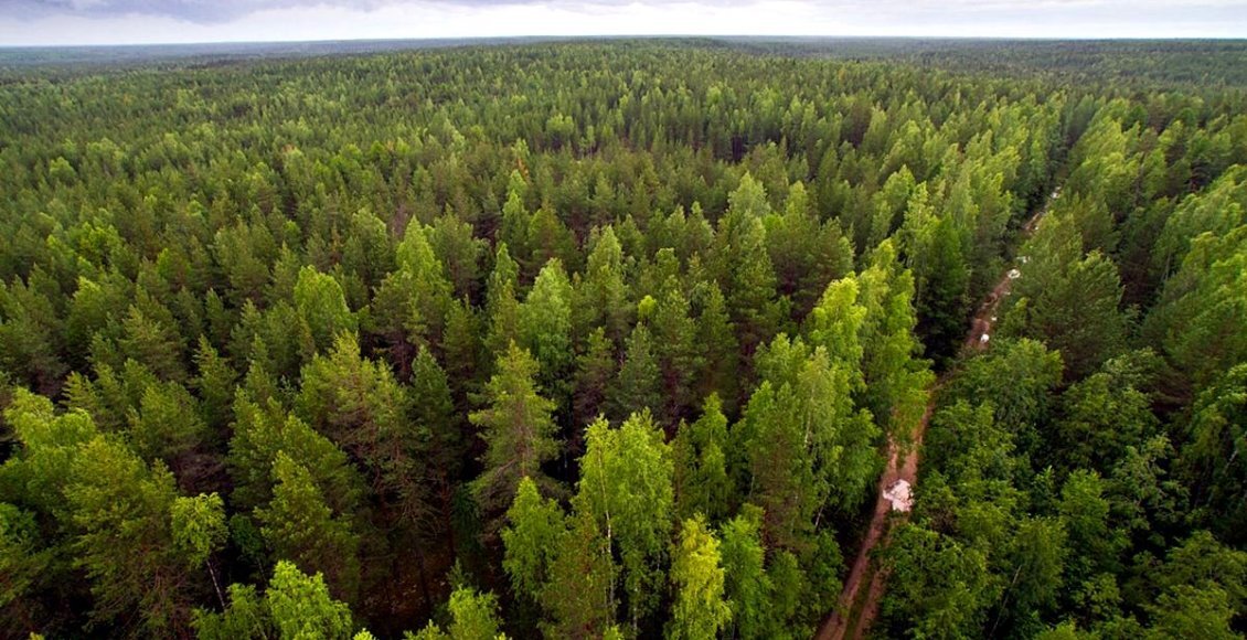    Фото: tvcenter.ru