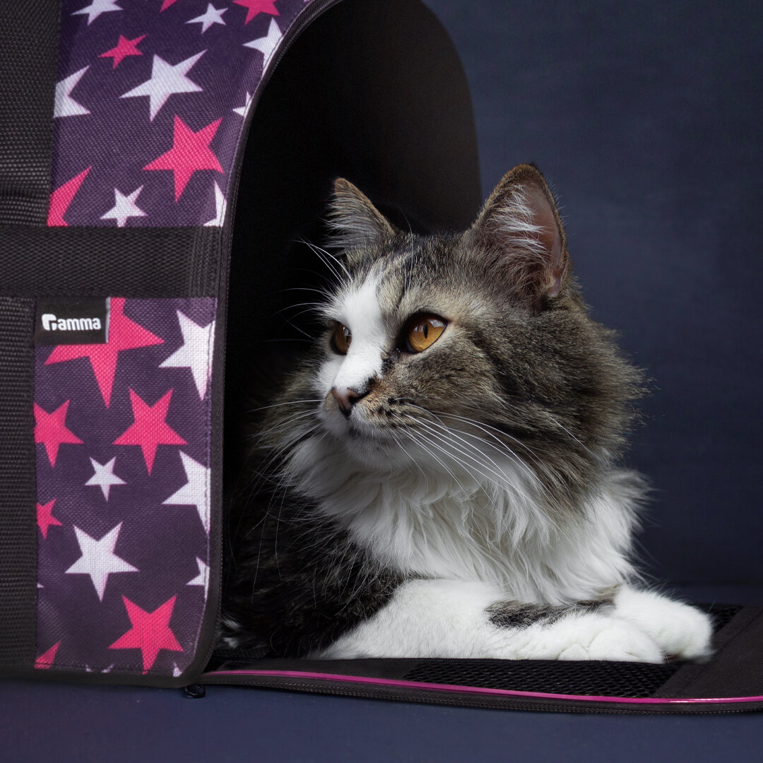 Если у вашей кошки уже сформировалось и закрепилось отрицательное отношение к переноске, попробуйте приобрести новую модель и заново познакомить питомца с полезным аксессуаром.