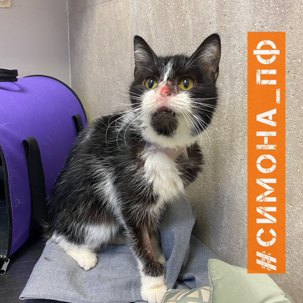 Симона на приеме у терапевта.