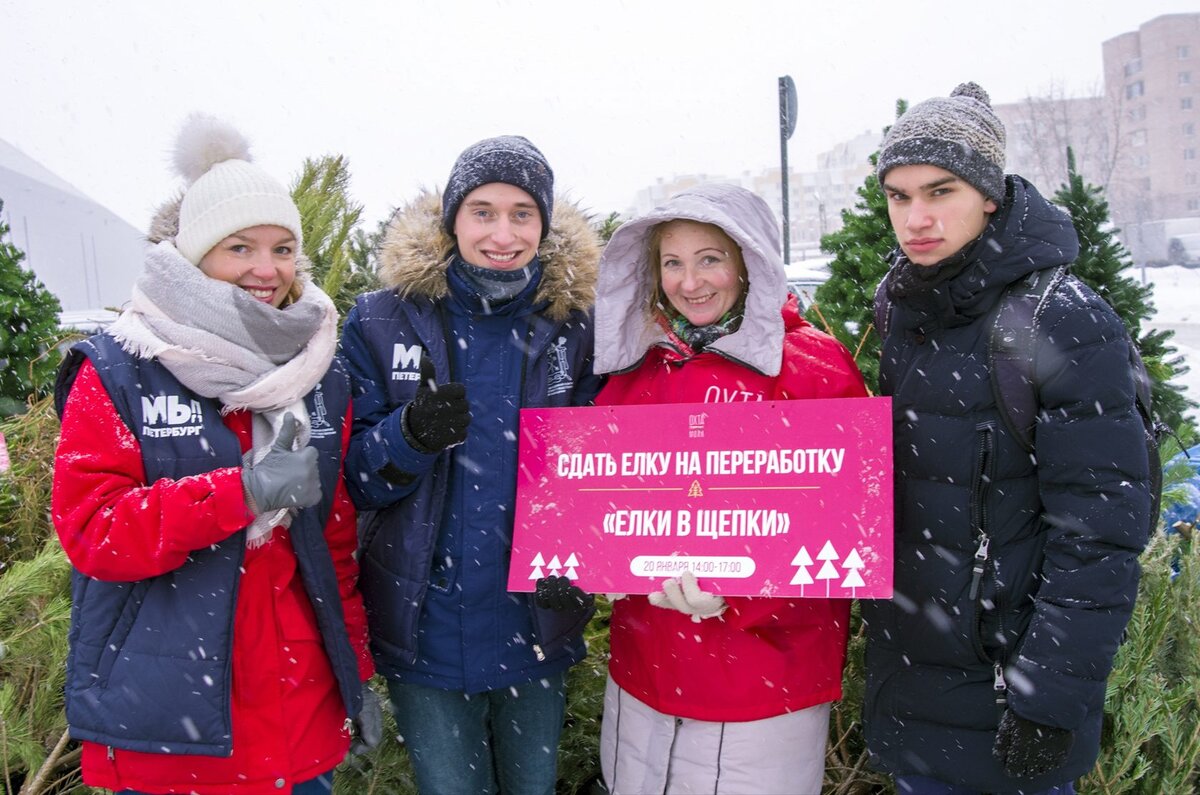 Фото 1-4: акция "Елки, палки и щепа"