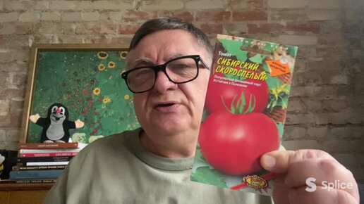 Еще не поздно посеять томаты!