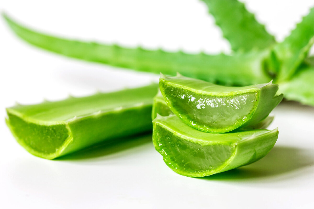 алоэ