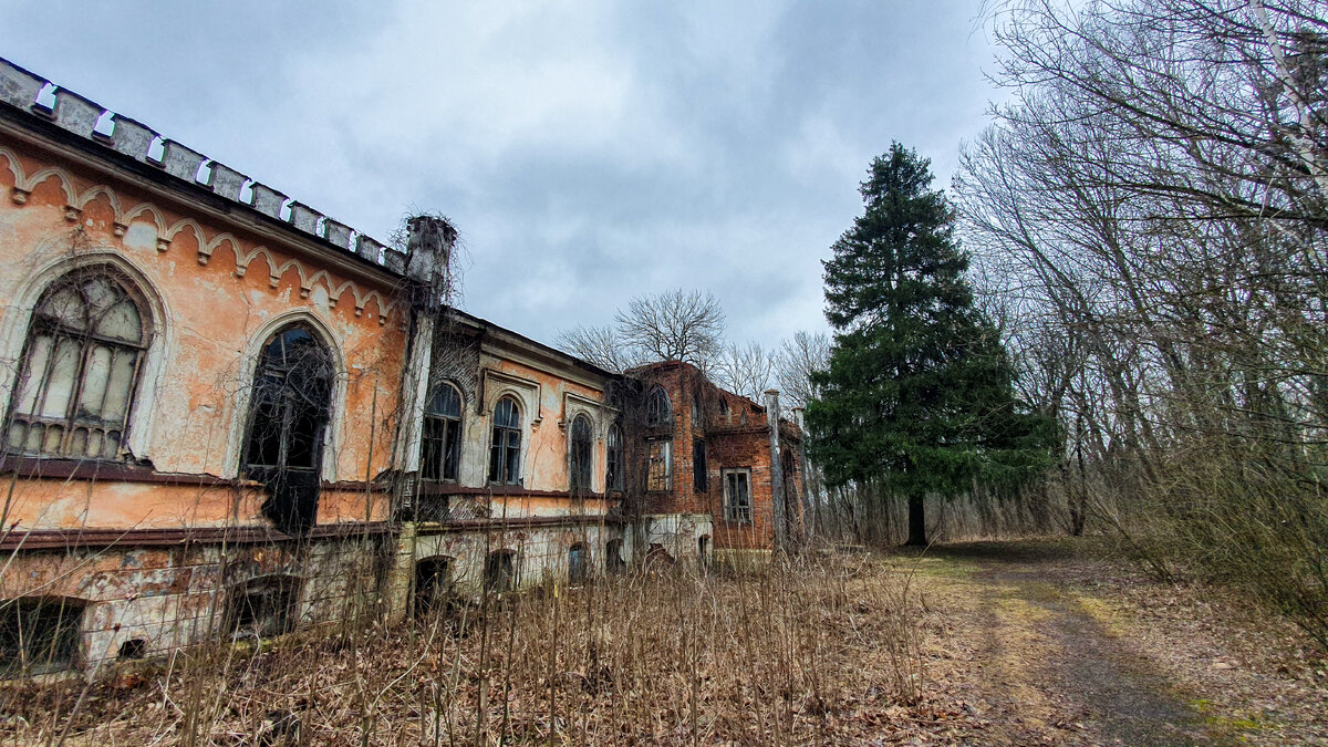 ель просто несказанно хороша!