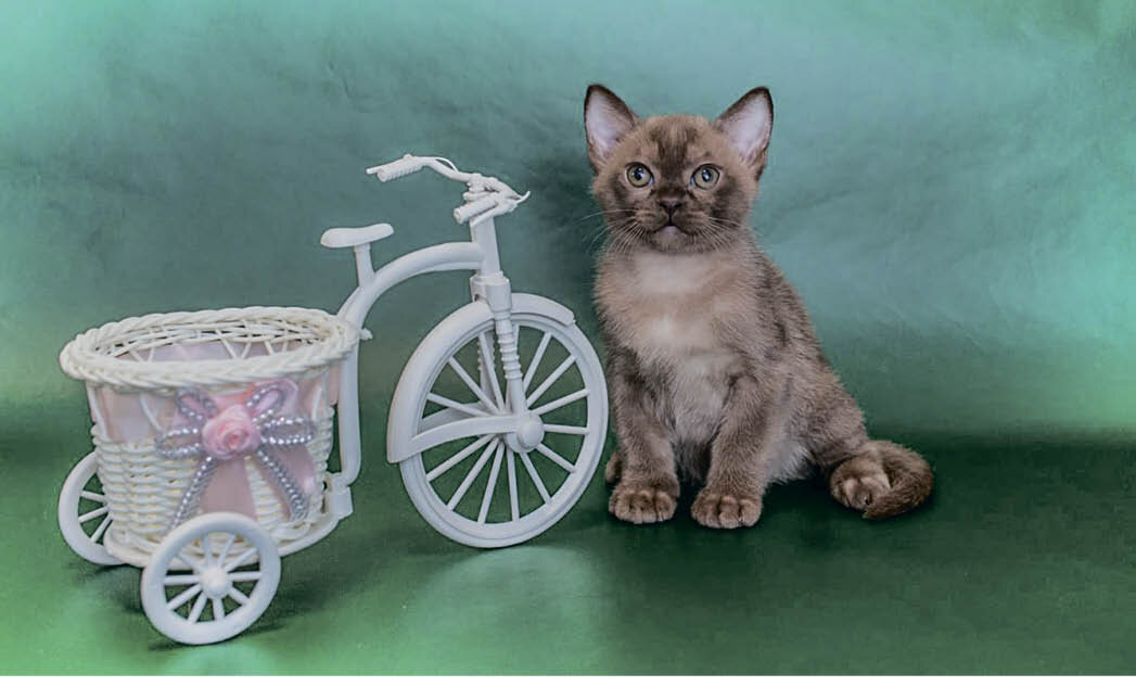 Фото из личного архива Кристины Любченко