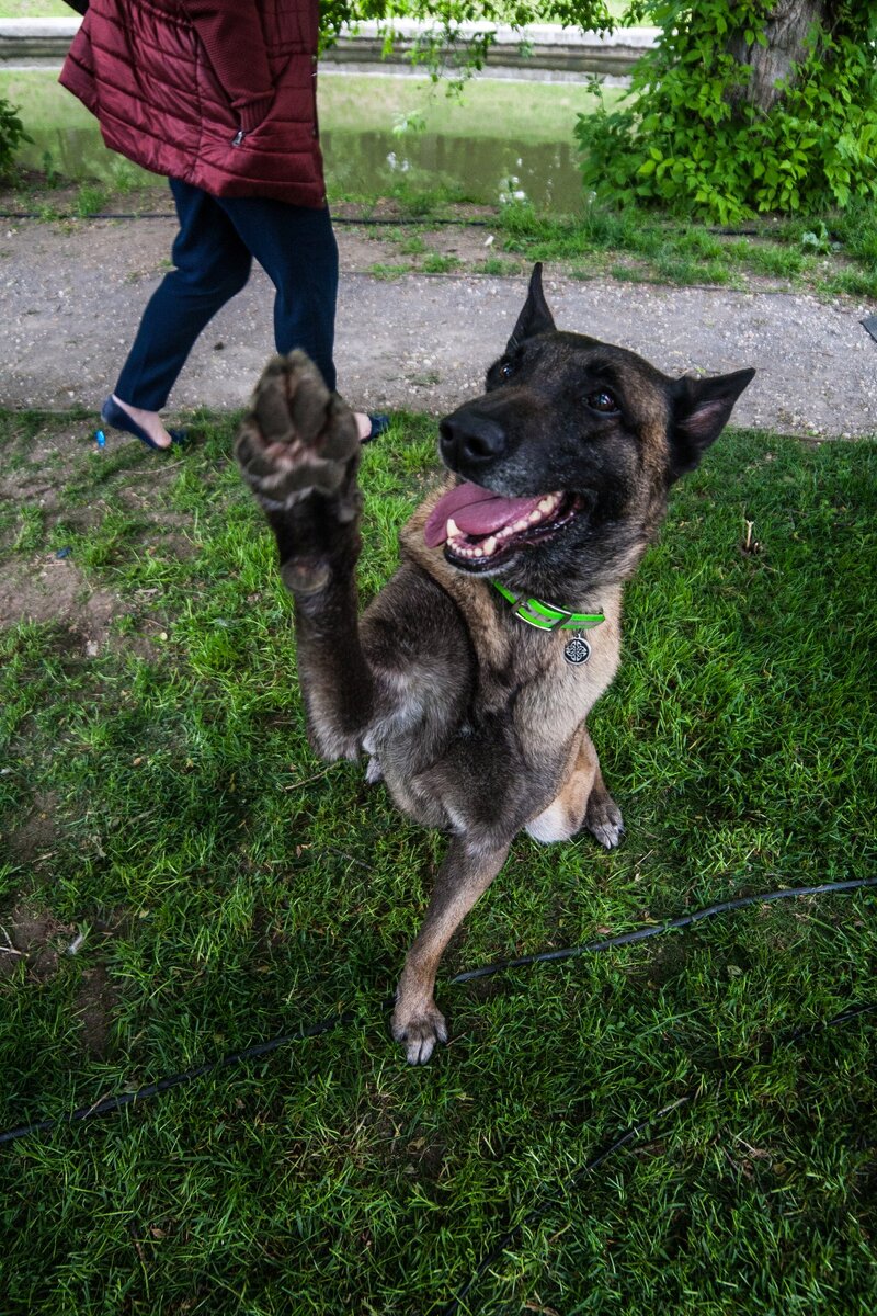 Занятия должны быть в удовольствие!