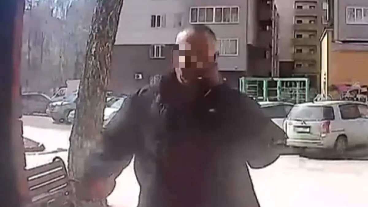 Стоп-кадр из видео камер наблюдения