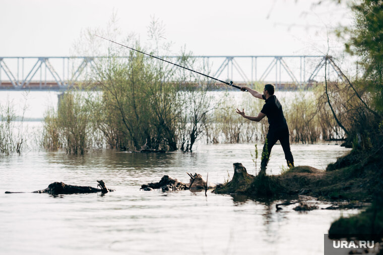    Некоторые рыбаки готовы тратить на хобби миллионы рублей