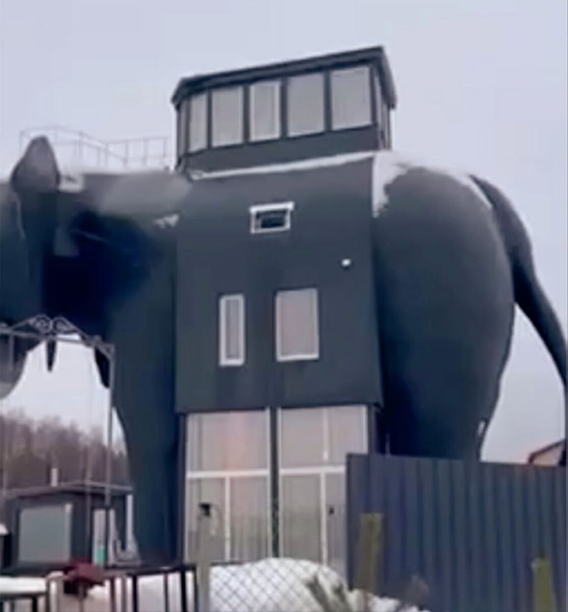 Дом в виде слона в подмосковье