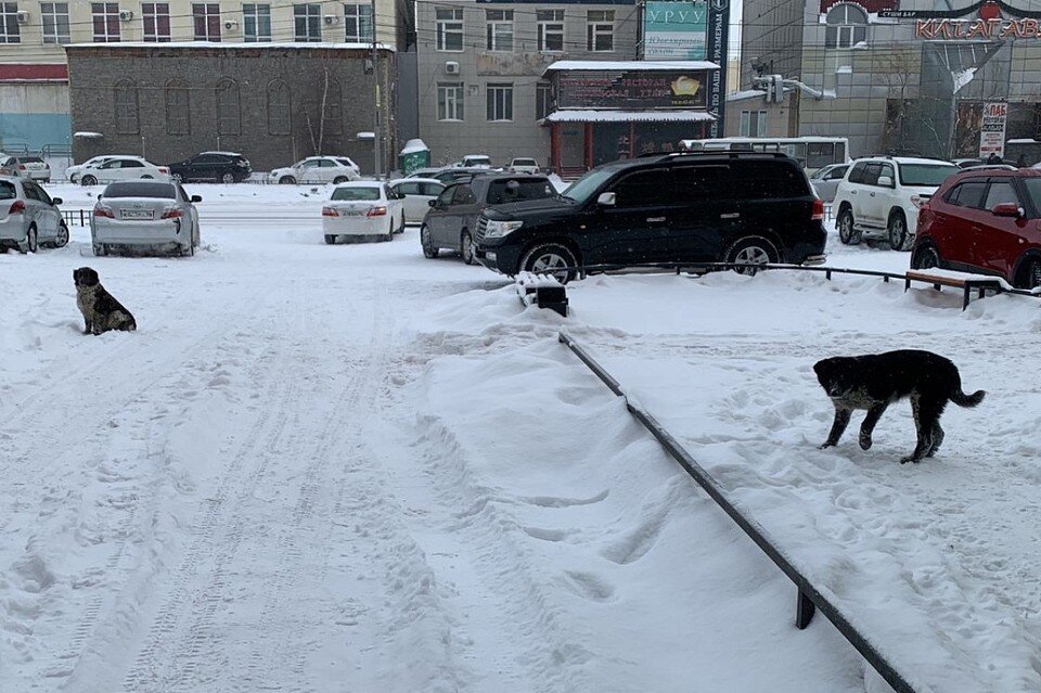     Фото: пресс-служба мэрии Якутска