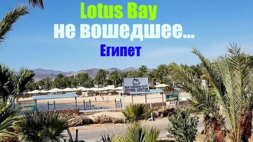 #31 Отель LOTUS BAY 4* Египет , Сафага, не вошедшее ...