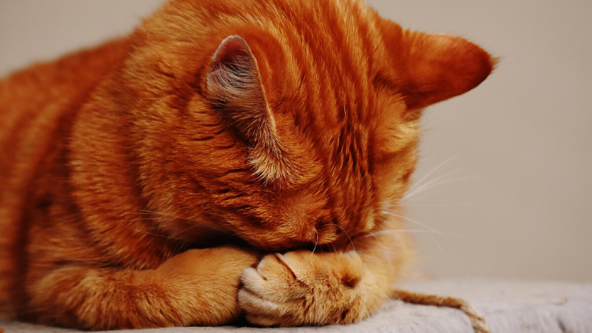 Не, смотреть не могу больше. Послушаю