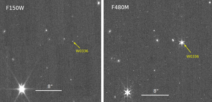 Изображения W0336, полученные «Джеймсом Уэббом». Per Calissendorff et al. / arXiv, 2023