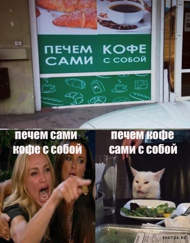 Картинка где кот и девушки спорят