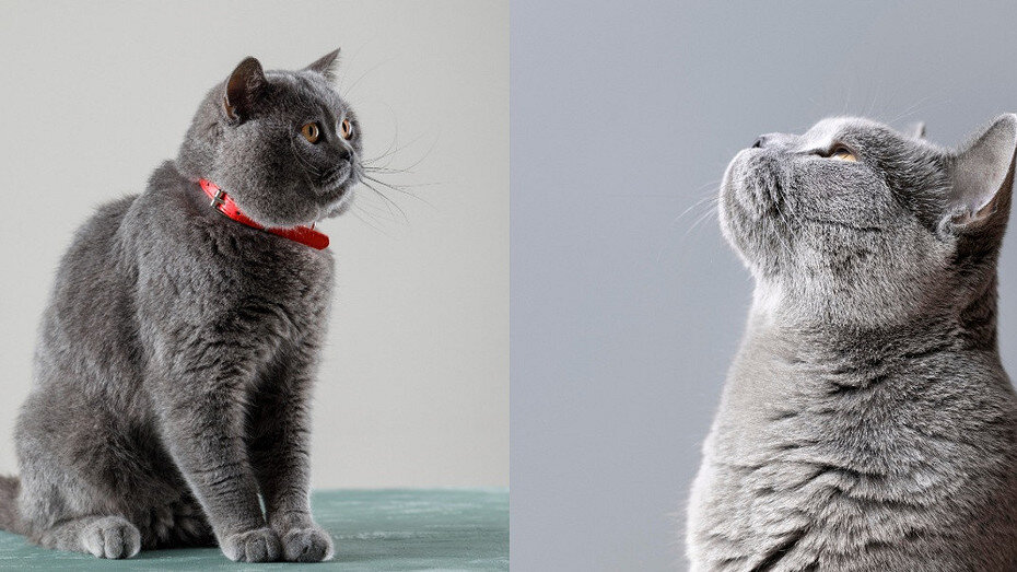     Здесь и далее: freepik.com