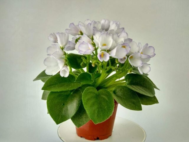 ���� ��� ������ � ������. � vsegda-pomnim  📷
