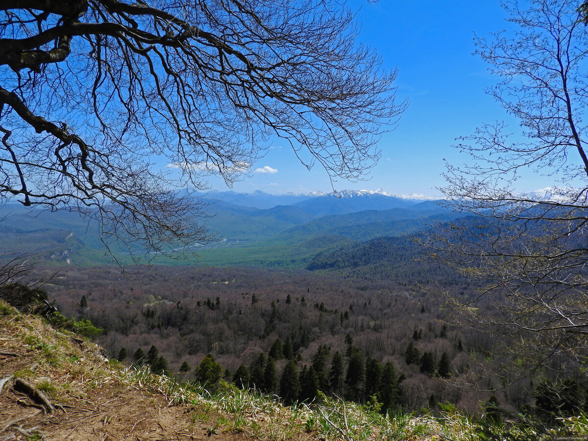 © Юлия juliette17