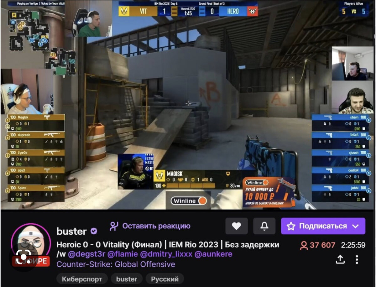 Скрин со стрима Славы