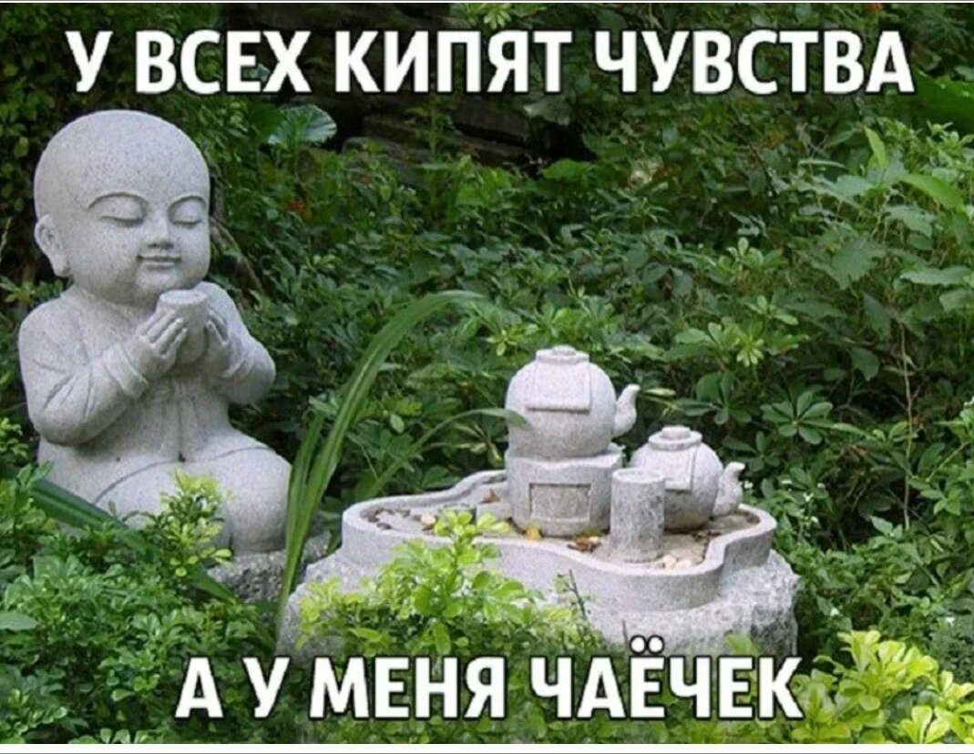 Дзен картинки прикольные