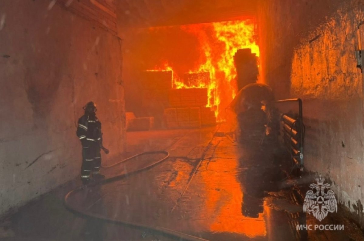    Стали известны новые подробности пожара в Лесозаводске