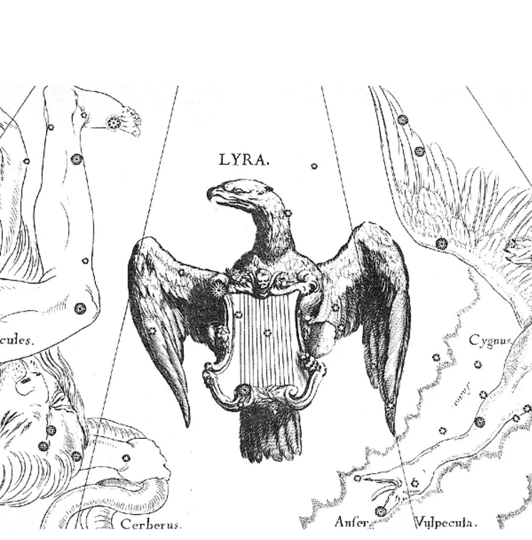 Созвездие лиры проект