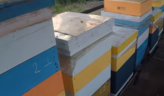 Как правильно ставить магазины пчелам