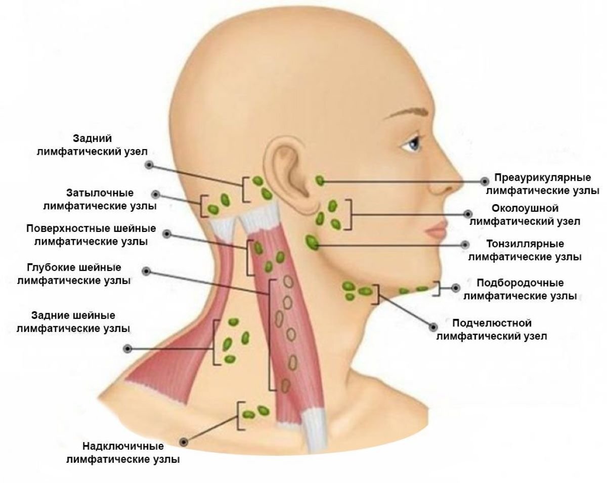 Острый тонзиллит 🧪 | Dr.PNV | Дзен