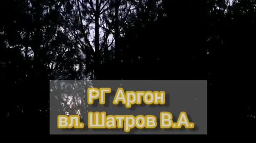 Русская гончая Аргон вл. Шатров В.А.