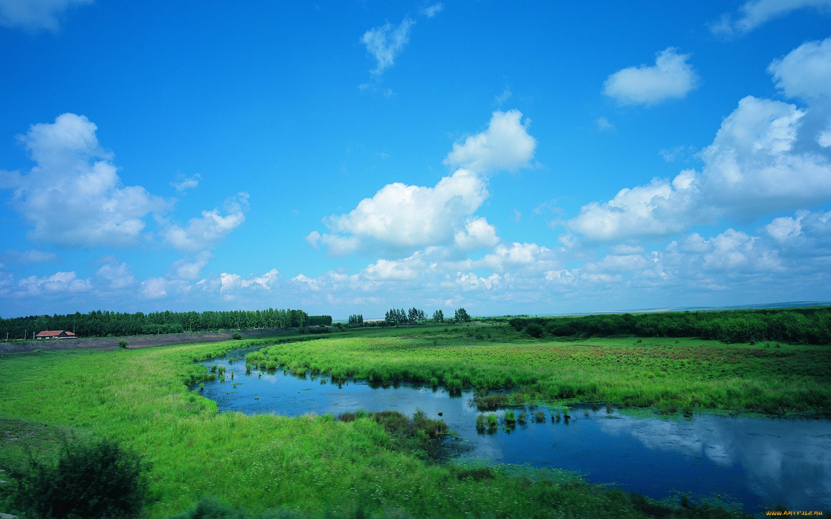 Пейзаж Русской равнины
