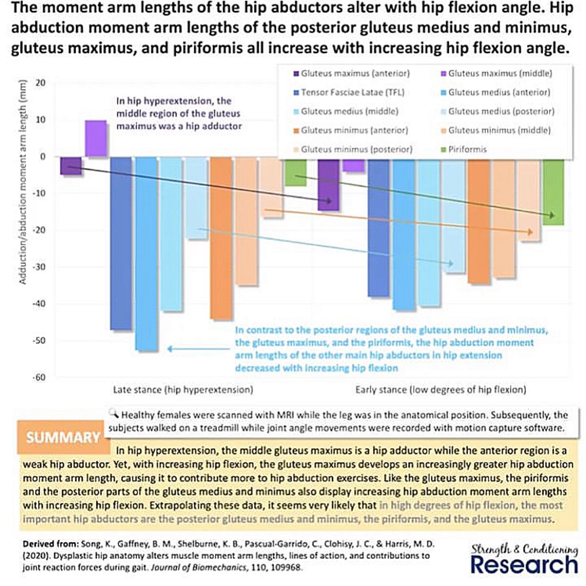 Моменты сил мышц