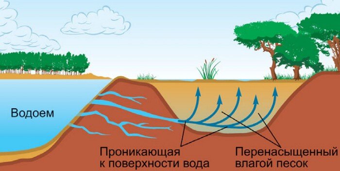 Один из вариантов образования зыбучих песков/ ©sitekid.ru