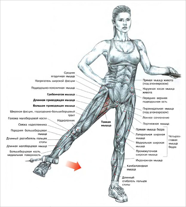 Exercise Spotlight - Hip Bridge