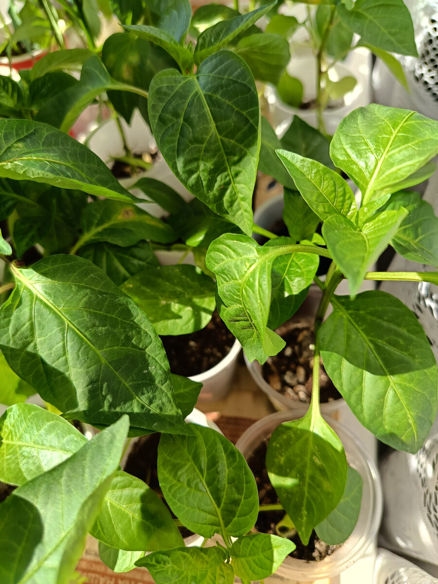 Фото автора статьи. 