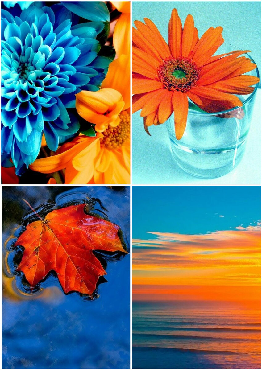 Коллаж автора