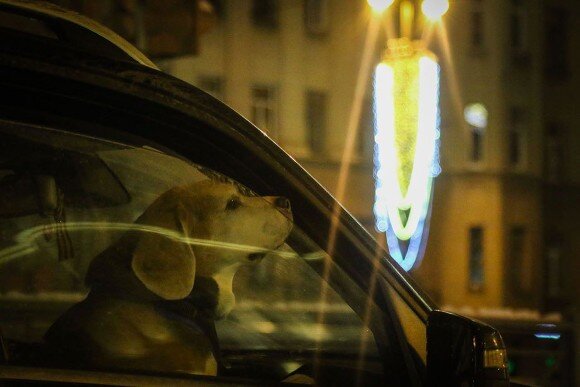    Фото Александры Полукеевой, ИА «Росбалт»