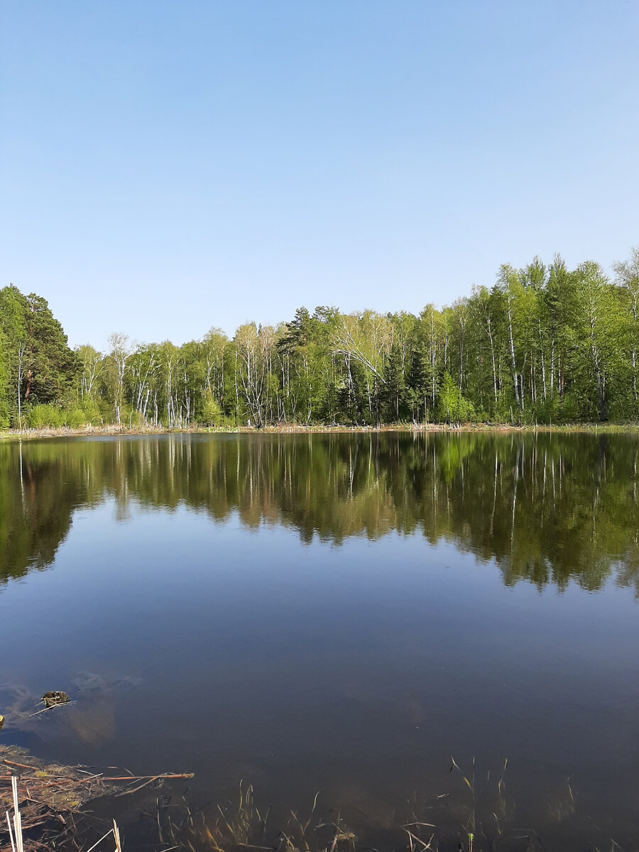 Прогулка вдоль Шершнёвского водохранилища | Творческая студия | Дзен