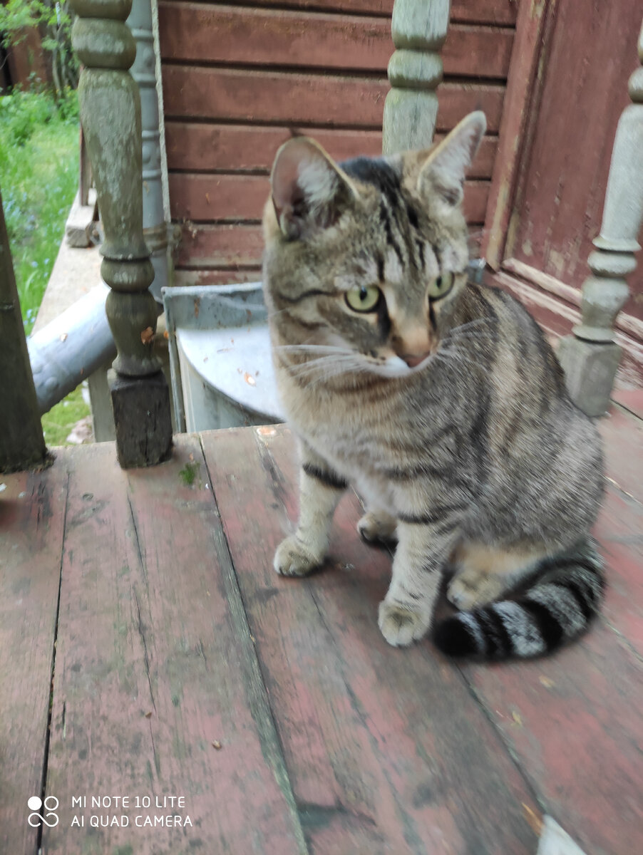 Вчера опять пришла