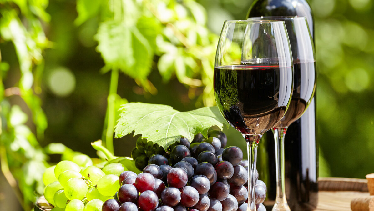 Вино и виноград. Виноградники вино. Красное виноградное вино. Бокал с вином.