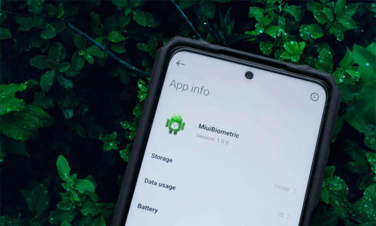 Изображение: miligram.ru