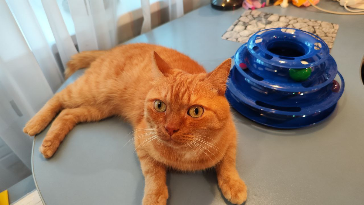 Просто Филя!