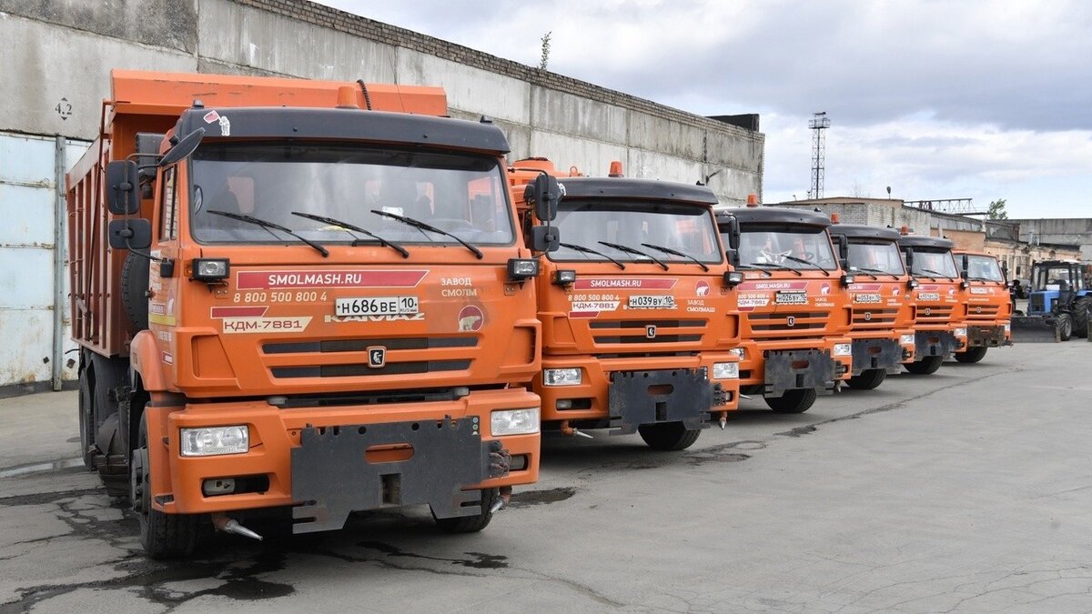     В эфире местной программы новостей рассказали о грандиозных планах карельской компании на ближайшее время.