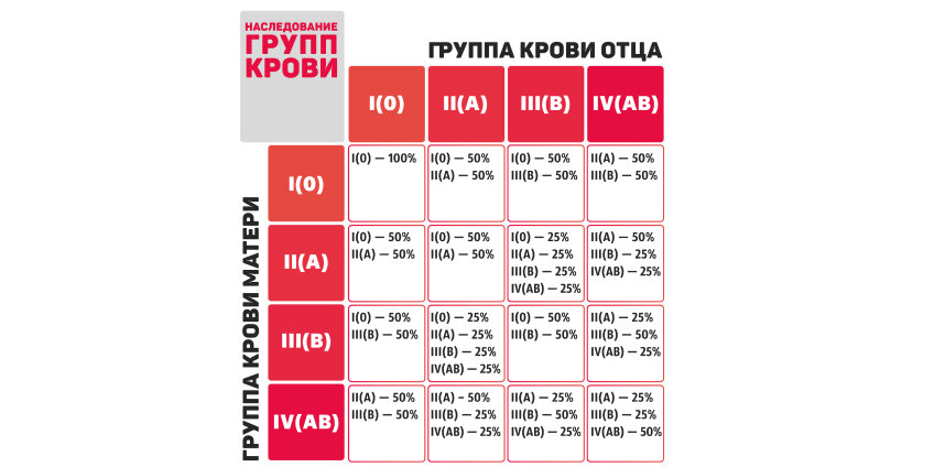 Взаимодействие понятий "теплокровность", "гемоглобин"